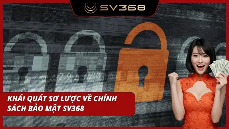 Tổng quan về chính sách bảo vệ dữ liệu của SV368