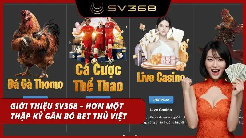 Giao diện đổi mới qua nhiều năm cho thấy quá trình phát triển rõ rệt