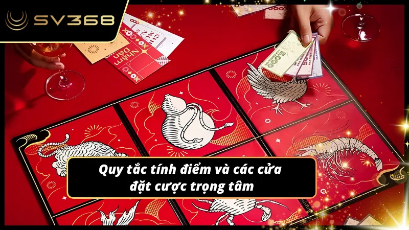 Cách tính điểm cũng như những bước đi đặt cược an toàn