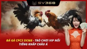 Đá Gà CPC3 SV368