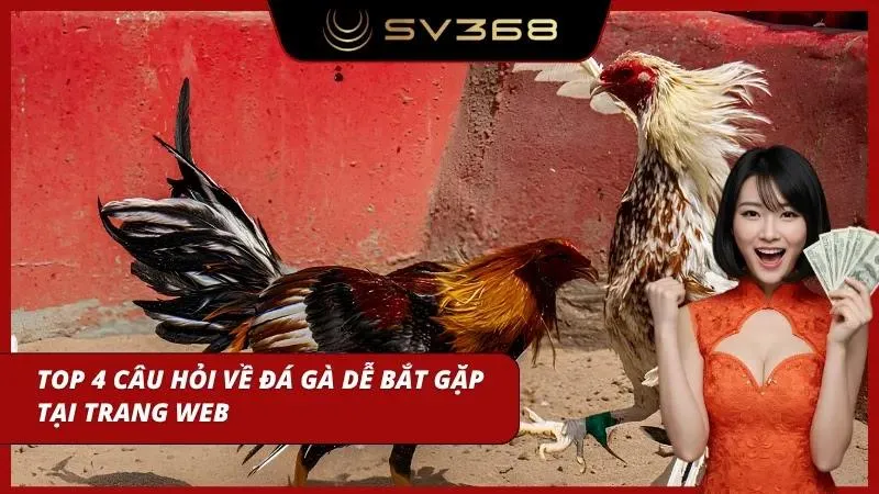Giao diện các trang livestream trên trang web