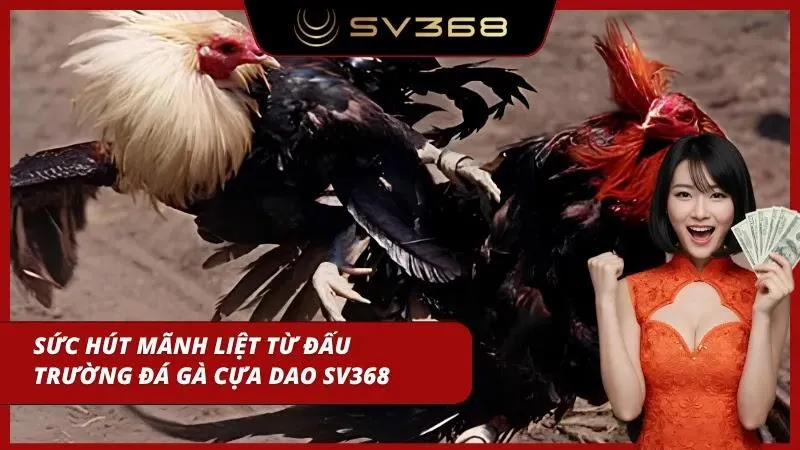 Tận mắt những cảnh tung đòn trên không mãn nhãn