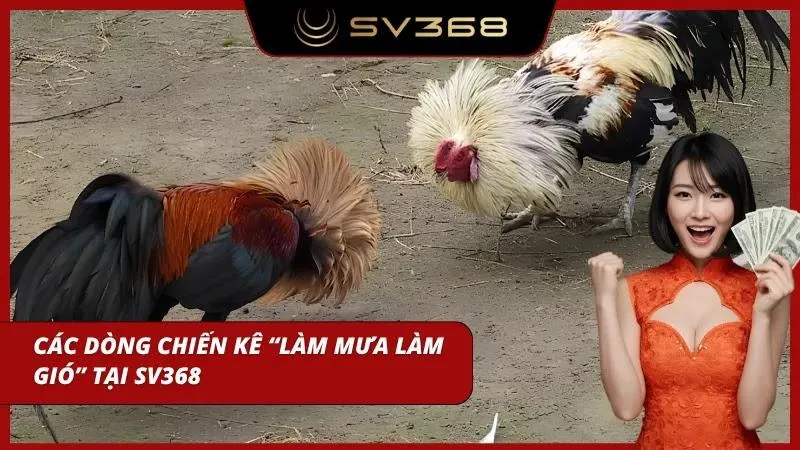 Những giống gà dũng mãnh trên khắp thế giới