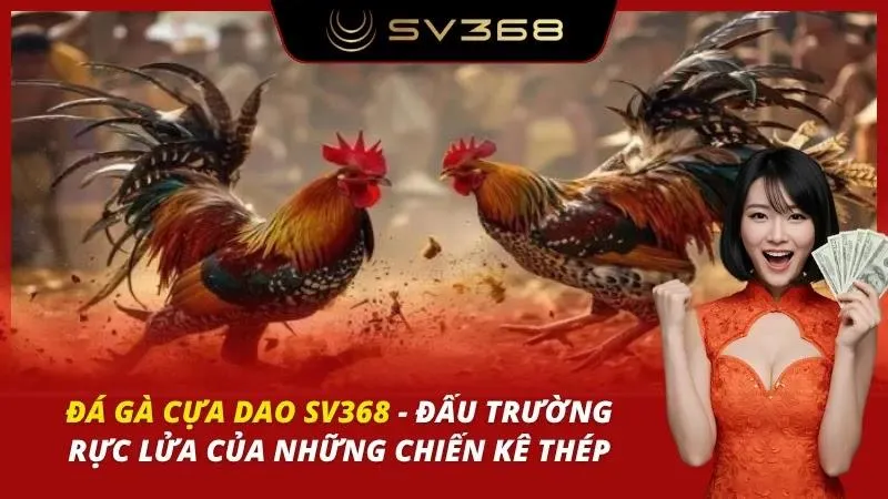 Đá gà cựa dao SV368