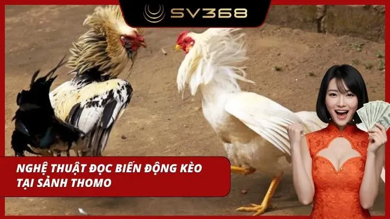 Tỷ lệ kèo thay đổi phản ánh dòng tiền đổ vào từng cửa