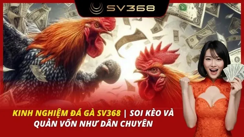 Kinh nghiệm đá gà sv368
