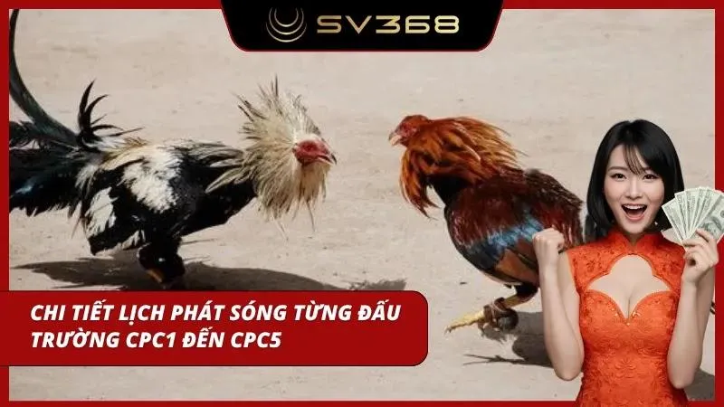 Mỗi sới có khung giờ riêng giúp người xem chủ động lựa chọn