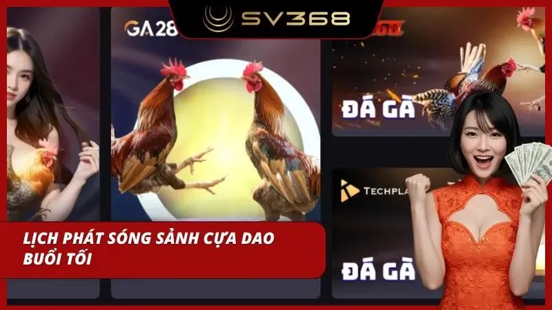 Khung giờ tối thu hút đông người xem theo dõi trực tiếp