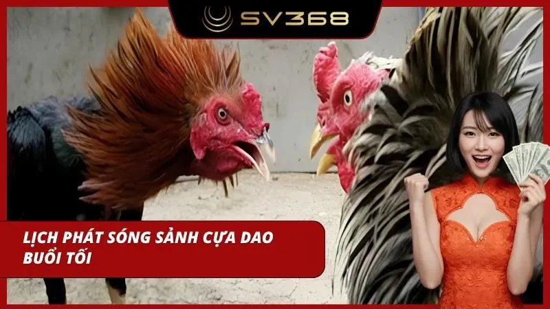 Lịch đá gà SV368