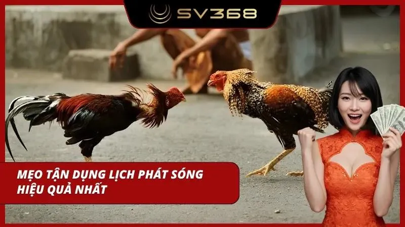 Tận dụng tính năng xịn sò của trang cược để chơi hiệu quả