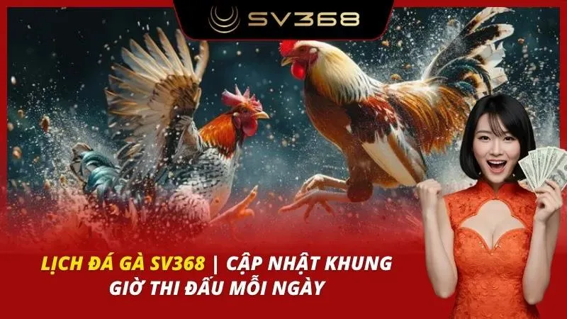 Lịch đá gà SV368