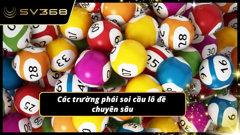 Áp dụng các kiến thức để rà soát và phát hiện các chu kỳ rơi ổn định nhất