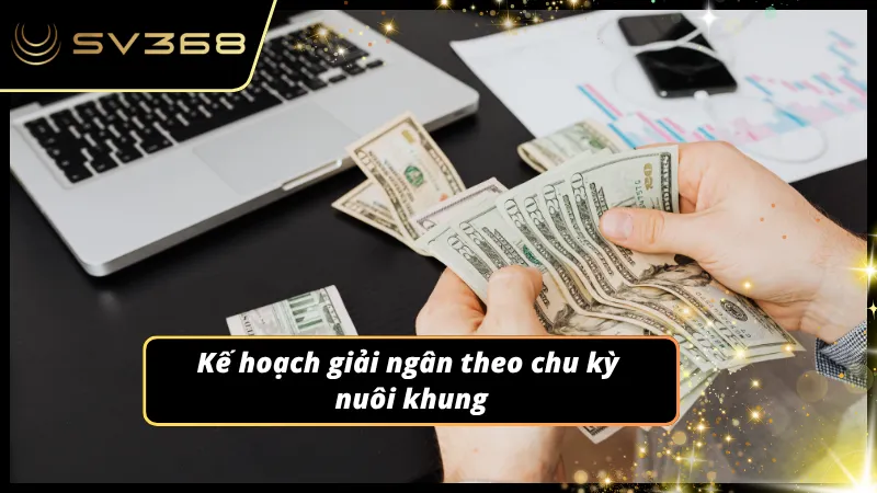Thiết lập tỷ lệ rót vốn theo mô hình ba ngày để bảo vệ an toàn cho tài sản