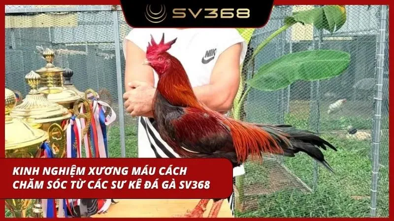 Cầm ngay cẩm nang cách chăm sóc đặc biệt
