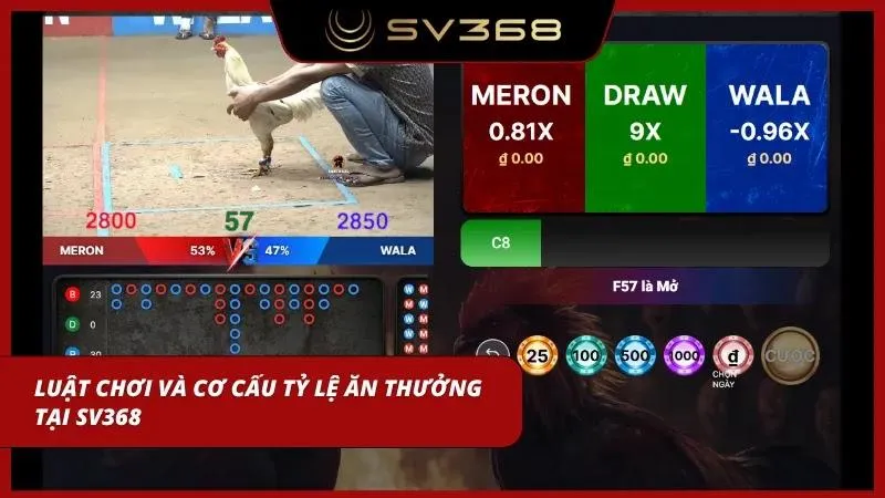 cách cược đá gà cpc3 sv368