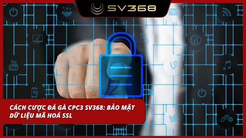 cách cược đá gà cpc3 sv368