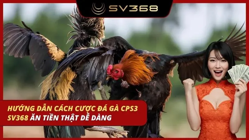 cách cược đá gà cpc3 sv368