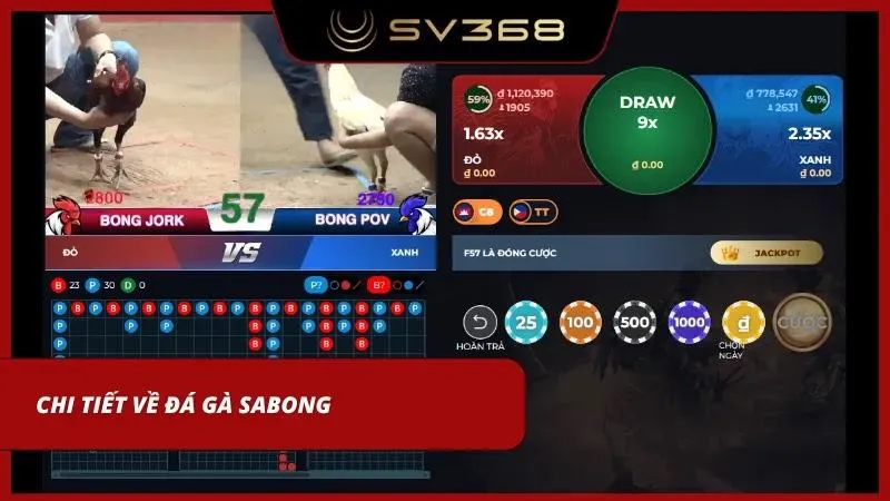 Trận đá gà trực tiếp tại sảnh Sabong
