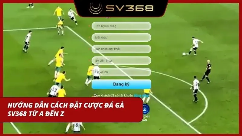 Chi tiết cách đặt cược đá gà từ A đến Z