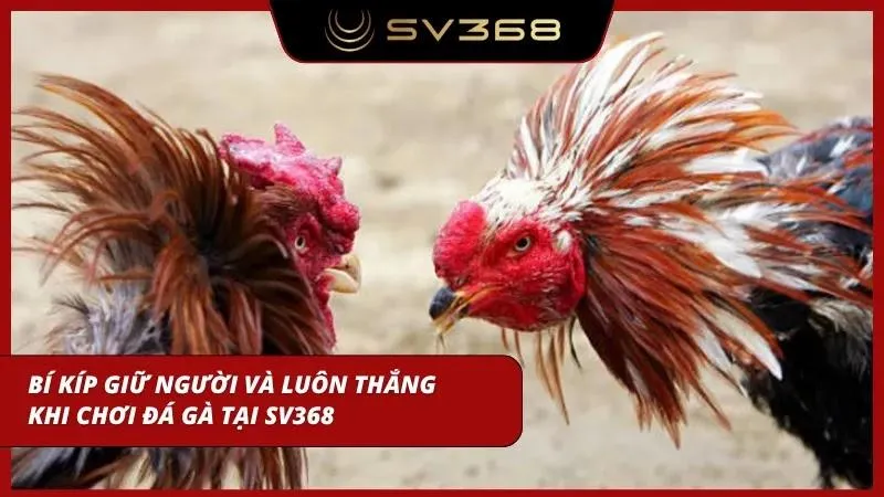Cẩm nang để đánh đâu thắng đó tại đây