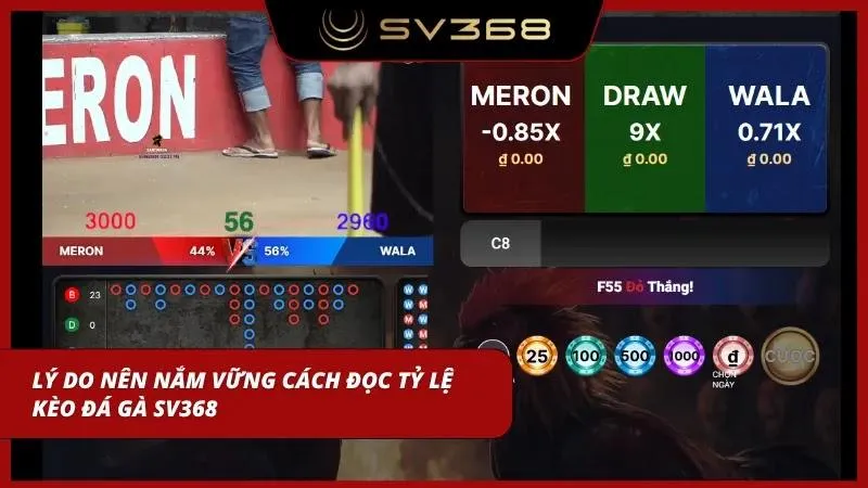 Tầm quan trọng của việc hiểu cách đọc odds chọi kê tại website