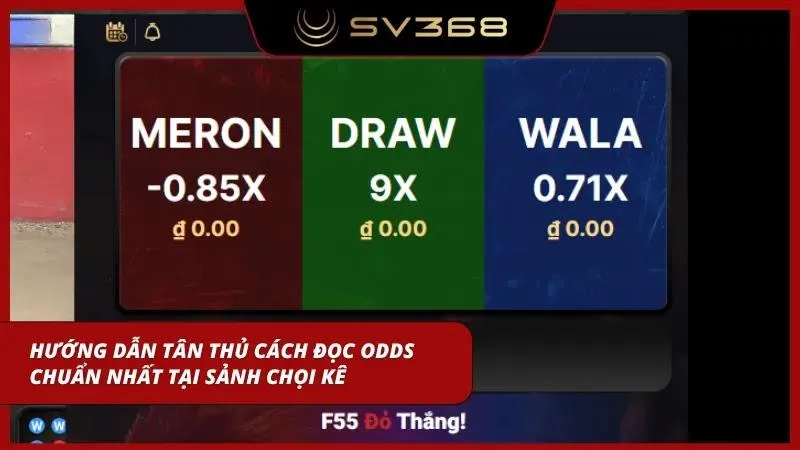 Cách đọc odds chọi kê cụ thể năm 2026
