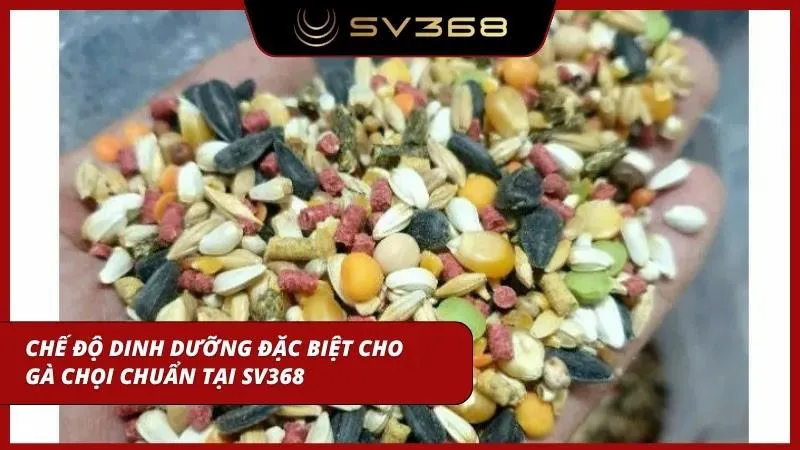 Chế độ dinh dưỡng đặc biệt tại đây
