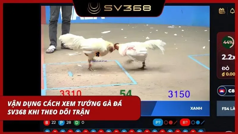 Sự kết hợp giữa lý thuyết và thực tế giúp người chơi tối ưu dự đoán