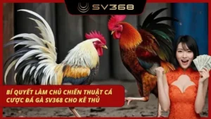 chiến thuật cá cược đá gà sv368