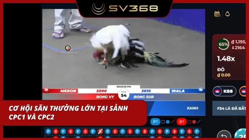 Bảng tỷ lệ kèo cược biến động thời gian thực tại nhà cái
