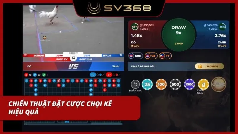 Cao thủ phân tích phong độ chiến kê để soi kèo chuẩn chỉ từng kê chọi ra sân