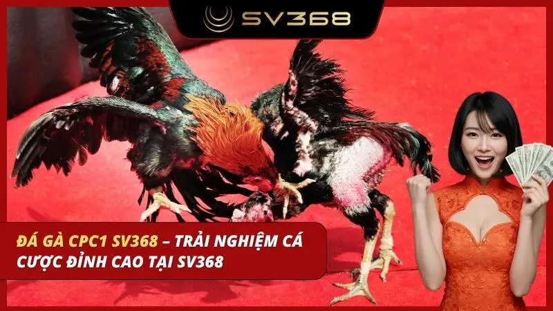 đá gà cpc1 sv368
