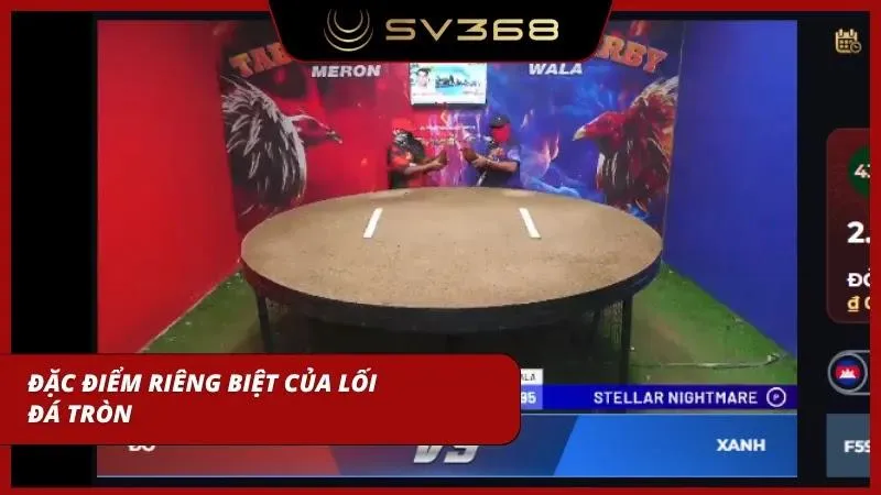 Cựa tròn luôn mang được sự đặc trưng trong kê chọi với lối chơi bền bỉ của mình