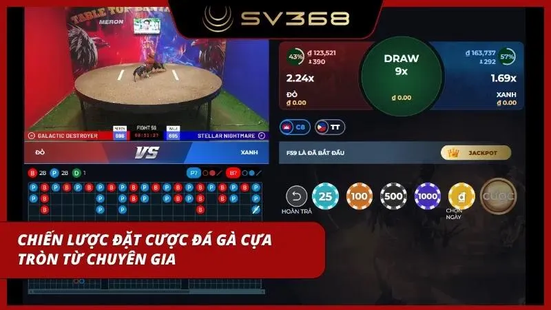 Kinh nghiệm chơi đá gà trực tuyến giúp bạn tự tin chinh phục các giải đấu lớn