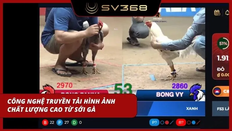 Công nghệ livestream cực nét của nhà cái giúp anh em như đang ở sới gà thật