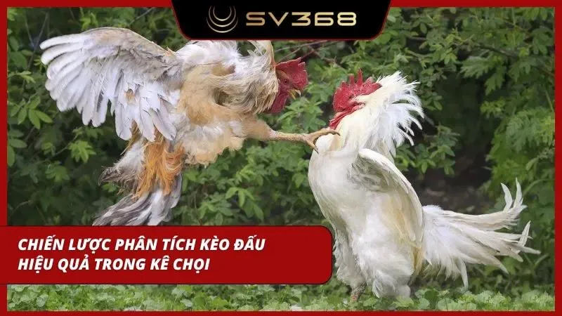 Áp dụng phương pháp soi kèo chuyên sâu giúp cược thủ tối ưu hóa lợi nhuận thực tế
