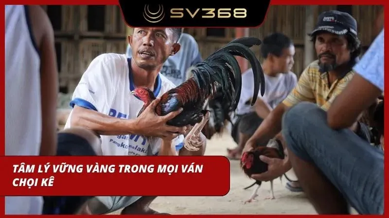 Khi tham gia cược kê chọi anh em cần trang bị cho mình một tâm lý vững vàng