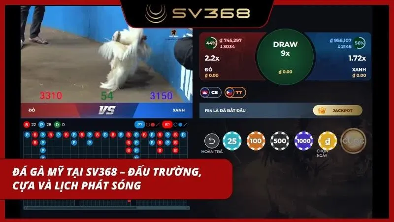 Sự chuyên nghiệp của sới gà danh tiếng nâng tầm trải nghiệm