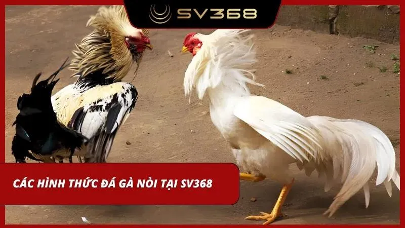 Các thể loại thi đấu thịnh hành mở ra nhiều lựa chọn hấp dẫn