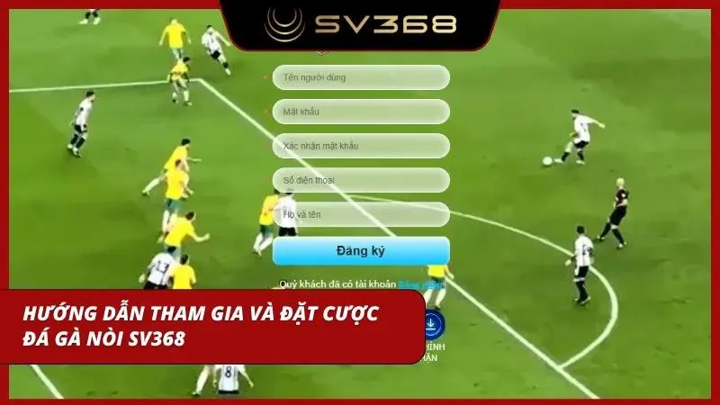 Hướng dẫn chi tiết giúp các bet thủ dễ dàng tham gia săn thưởng ngay