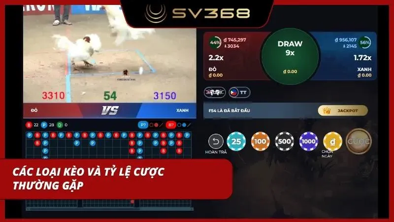 Hệ thống tỷ lệ đa dạng giúp cược thủ cân bằng giữa rủi ro và lợi nhuận