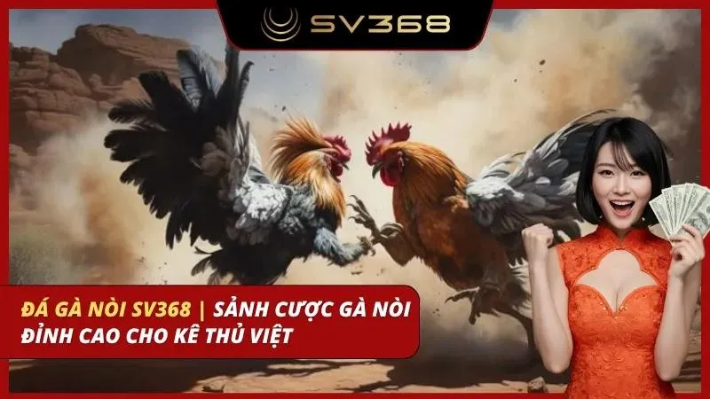 đá gà nòi sv368