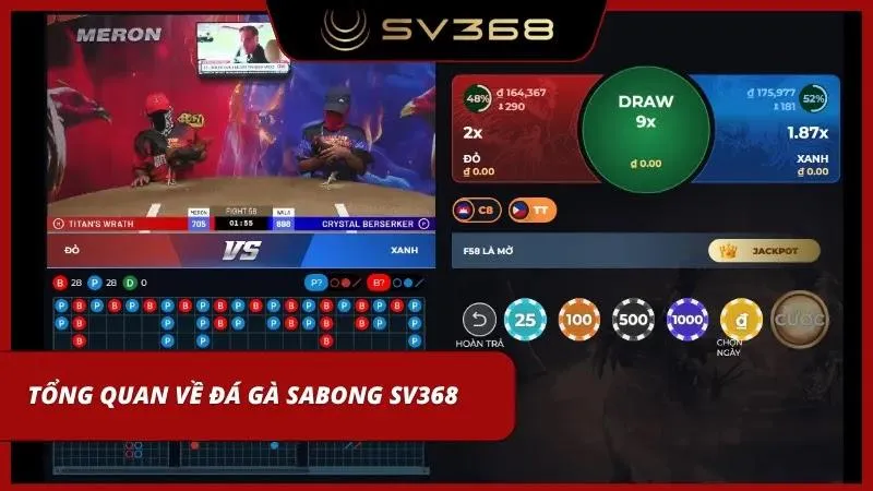 Sabong mang đến những trận đấu gà chọi đỉnh cao với tốc độ ra đòn cực nhanh