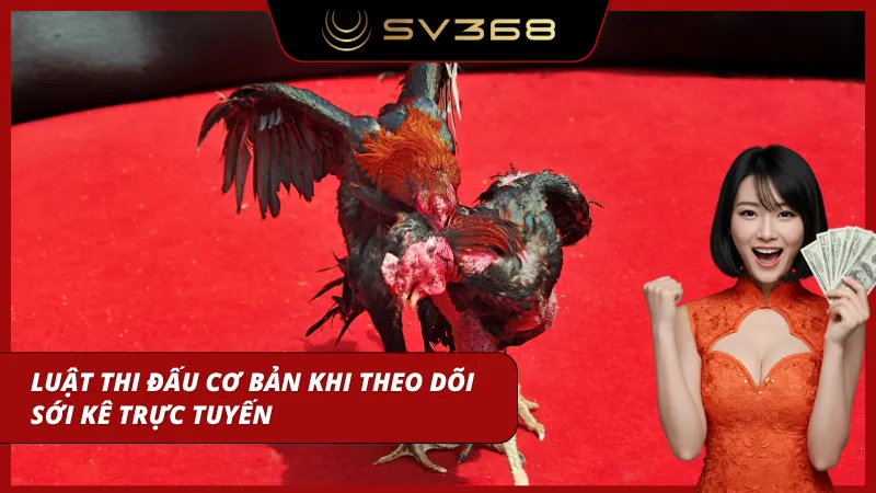 Trận đấu diễn ra theo quy định rõ ràng về hiệp và kết quả
