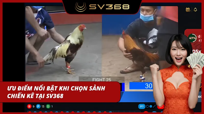 Nhiều trận đấu diễn ra liên tục trong ngày cho người xem
