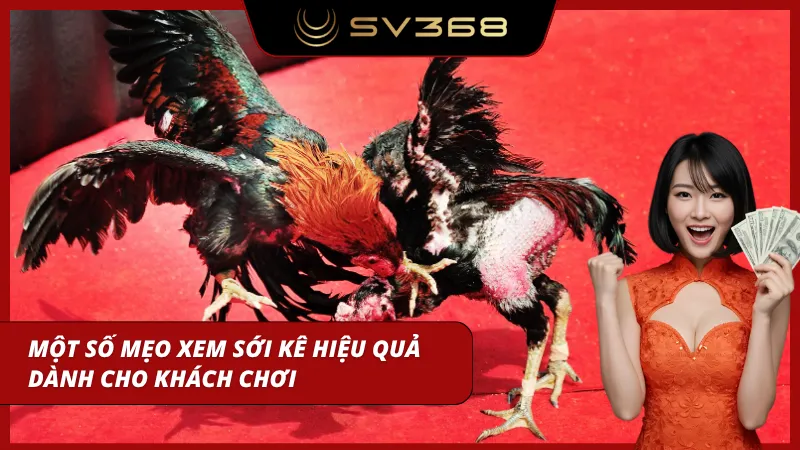 Quan sát và soi kèo giúp đánh giá khả năng thi đấu chính xác
