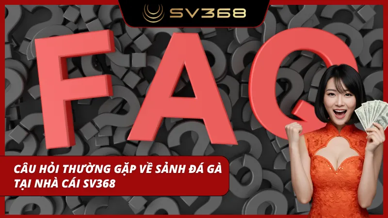 Khách chơi tra cứu thông tin trước khi tham gia theo cược