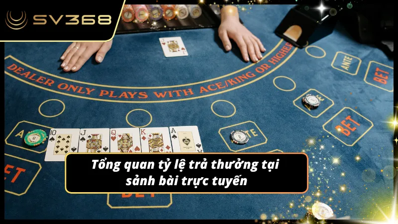 Dữ liệu thống kê giúp người chơi dễ so sánh hiệu suất cược