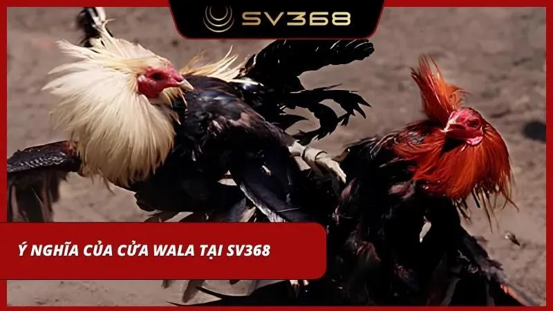Ý nghĩa của đội sân khách tại đây