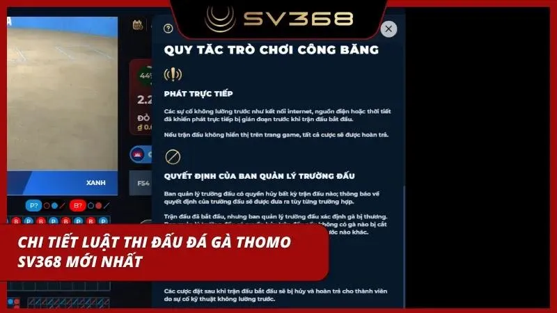 Hiểu rõ luật chơi đá gà chi tiết nhất tại đây